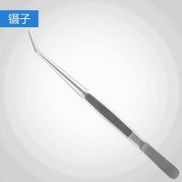 单支镊子 刮牙牙结石去除器家用洗牙器清除牙石牙垢工具剔牙去牙渍洁牙神器