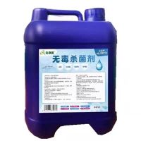 5L 5公斤 5L次氯酸空气消毒液家用室内免手洗喷雾杀毒水车内