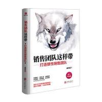 销售团队这样带-打造狼性销售团队狼性团队管理书籍中国银行中国