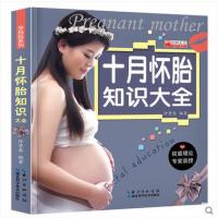 十月怀胎育儿百科十月怀胎只知识大全怀孕40周完美方案孕妇书籍