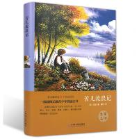 苦儿流浪记世界名著全译本世界经典文学名著  小说