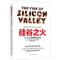 硅谷之火：人与计算机的未来 经济书籍