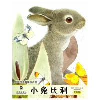 小兔比利亮丽精美触摸书系列触摸类绘本婴儿幼儿启蒙认知早