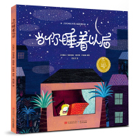 正版精装当你睡着以后国际无字书大奖作品小长江经典绘本系列