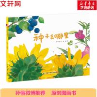 【孙俪微博推荐】种子去哪里 绘本 儿童时代图画书 中国原创图画书 儿童3-6周岁图画故事书 儿童中国福利会出版