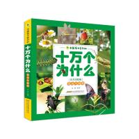 昆虫与蜘蛛(注音美绘版)/中国孩子爱问的十万个为什么 小学1-2年级学生课外阅读老师推荐 少儿科普百科十万个为什么