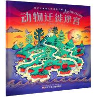 动物迁徙迷宫 儿童大百科全书3- 6-10周岁二三四年级必读小学生科学课外阅读书科普读物少儿漫画书绘本图书籍揭秘动物
