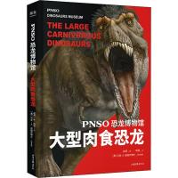 PNSO恐龙博物馆:大型肉食恐龙 实现纸上iMax视觉体 恐龙书恐龙百科全书 侏罗纪王国星球时代大揭秘探秘 幼儿小学