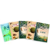 16开超大本 大憨熊绘本馆第11辑《自然秘密》全套5册 小桦树 3-6-9岁儿童幼儿园小学生动物植物科普百科启蒙故事