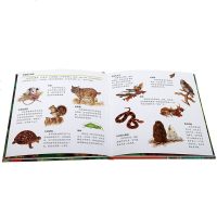 眼力大发现动物小百科翻翻书-森林动物 3-6岁婴幼儿园启蒙认知图书 宝宝益智早教玩具书 专注力训练游戏书籍儿童百科全