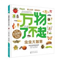 正版 万物了不起-虫虫大智慧 儿童科普百科全书3-7-10岁昆虫知识总动员虫虫知识大百科自然界动物知识书少儿自然科学