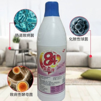 2瓶装 [可选顺丰配送][3瓶装]84消毒液650g家用去味含氯衣物地板室内卫生间