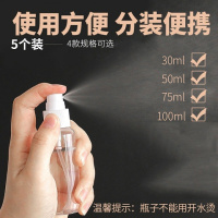 图片色 100ml(5个装) 喷壶小化妆水迷你喷雾补水小空瓶细雾爽肤水空按压喷瓶(5个装)