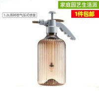 茶树棕[2L] 网红压力喷壶小型浇花家用园艺植物气压式浇水壶洒水壶喷水壶