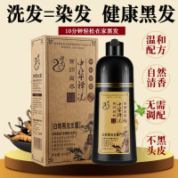 一支黑白转黑染发剂一洗黑清水植物男士小持久性染发 黑色 500ml