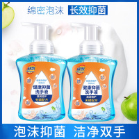 泡沫洗手液非免洗 抑菌 去污 温和 护肤 清香型