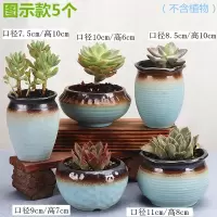 多肉花盆陶瓷特价清仓透气粗陶大口径大号创意室内肉肉植物小花盆 古灵精怪随机花盆6个 中小