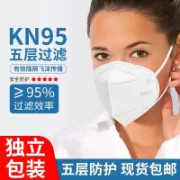 工厂 kn95防护口罩防尘防雾霾透气男女防护n95口面鼻罩5层 邮