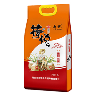 金特莱 田园丝苗大米10斤装 优质籼米新米长粒米 一级田园清香米 5KG