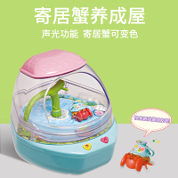 韩国欢乐水族箱可爱小鸡寄居蟹养成屋女孩仿真会动游泳摇摆鱼玩具 寄居蟹养成屋MW19500