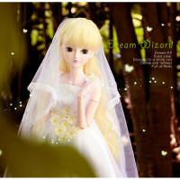 叶罗丽娃娃公主裙夜萝莉服装/衣服BJD娃娃连衣裙换装婚纱礼裙礼服 梦精灵(配头纱) 60厘米娃娃适用服饰