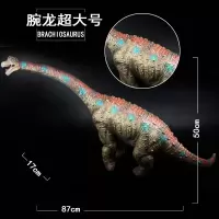 。中杰铭超大号仿真动物软胶恐龙玩具发声霸王龙三角龙模型男孩礼 深灰色腕龙超大号