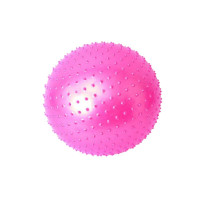 儿童早教球玩具瑜伽球健身球大龙球颗粒 感统训练器材平衡球 玫红色 55cm(身高150-160cm)