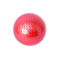 儿童早教球玩具瑜伽球健身球大龙球颗粒 感统训练器材平衡球 红色 85cm