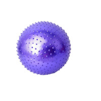 儿童早教球玩具瑜伽球健身球大龙球颗粒 感统训练器材平衡球 紫红色 65cm(身高160-165cm)
