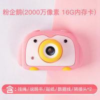 儿童照相机玩具可拍照数码可打印宝宝迷你小单反幼儿园生日 粉企鹅(2000万高清16G内存)礼品袋