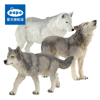 法国PAPO仿真动物模型大灰狼北极狼狐狸公仔儿童玩具男孩收藏摆件