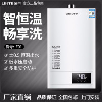 LINTE领帝厨卫电器 家用恒温热水器 燃气热水器 F01
