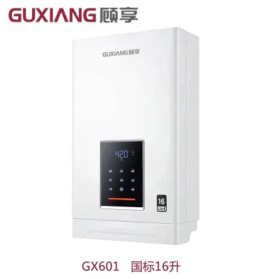 顾享(Guxiang)家用燃气热水器 GX601