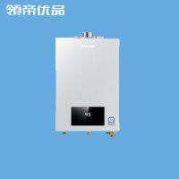 领帝优品厨卫电器燃气热水器JSQ23-12T11D