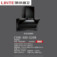 领帝(lingdi)厨卫电器 大吸力抽油烟机CXW-300-S20B
