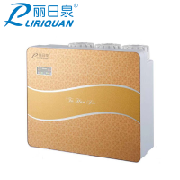 丽日泉(LIRIQUAN)家用饮水设备 五级RO直饮LRQ-RO-T33