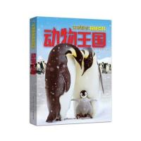 环球探索探秘百科-动物王国 动物世界大探秘探索 儿童动物百科全书奇妙的昆虫 7-8-10岁少儿科普认知小学生课外阅读