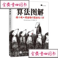 算法图解算法设计与分析 图灵程序设计丛书 算法书 编程算法 图解算法 电脑程序代码书 编程 算法笔记 程序代码算法竞
