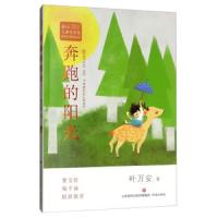 2020年山东寒假推荐阅读书    冰心儿童文学奖新锐作家精品馆：奔跑的阳光 叶万安  童书 中国儿童文学