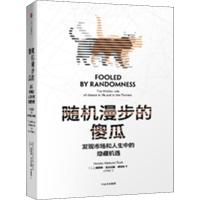  随机漫步的傻瓜 发现市场和人生中的隐藏机遇 美纳西姆 尼古拉斯 塔勒布 译者 盛逢时经济理论经济学书籍