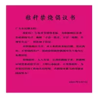 金贵宣传单页(粉红纸、黄纸)A3(42*28.5)cm/张