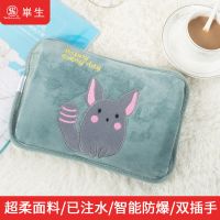 防爆热水袋充电暖宝宝暖水袋可爱女暖宫毛绒卡通暖水袋已注水 【果绿龙猫】不可拆洗
