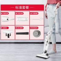吸尘器家用强力手持式超静音小型强力车载大功率车用大吸力H1 标配