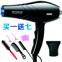 电吹风机家用静音大功率蓝光负离子发廊冷热风不伤发吹风机 芬腾一代经典黑买一送七