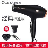 吹风机家用蓝光大功率理发店冷热风不伤发学生宿舍发廊电吹风机筒 钢琴黑【造型套餐】