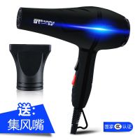 吹风机发廊宠物家用大小功率学生宿舍电吹风专业冷热风蓝光不伤发 德系进口强风电机家用版 高配[造型专用]+直发器