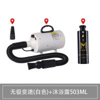 宠物吹风机狗狗吹水机大功率静音猫用品家用金毛大型犬专用烘干机 白色标配+送沐浴露