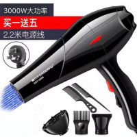 宠物吹水机大功率静音狗狗电吹风机金毛泰迪猫咪专用吹毛机烘干机 蓝光3000买一送5