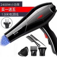 宠物吹水机大功率静音狗狗电吹风机金毛泰迪猫咪专用吹毛机烘干机 蓝光2400买一送5