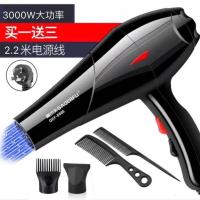 宠物吹水机大功率静音狗狗电吹风机金毛泰迪猫咪专用吹毛机烘干机 蓝光3000买一送3